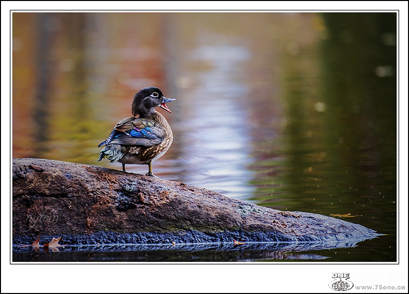 DSC_0261.._.jpg
