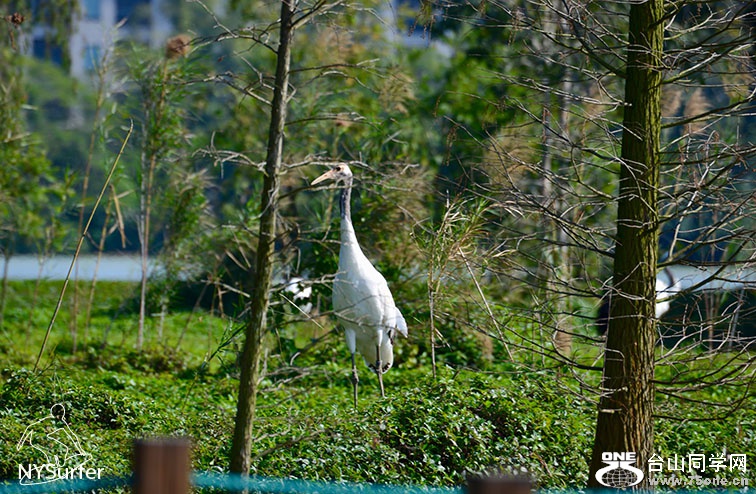 DSC_91871.jpg