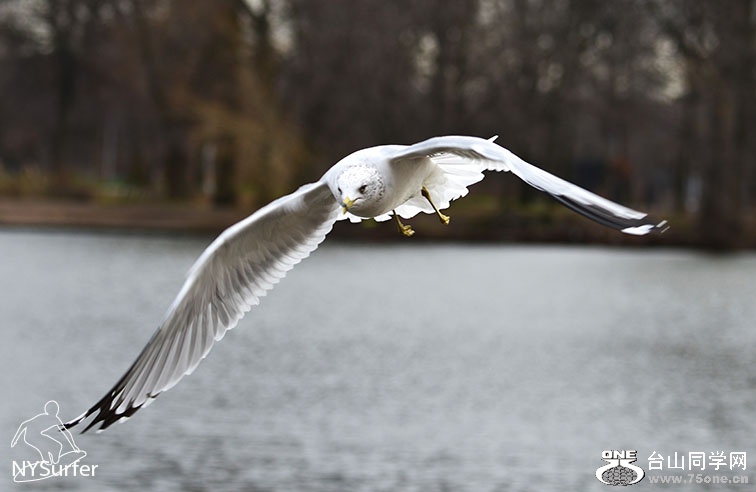 DSC_72067.jpg