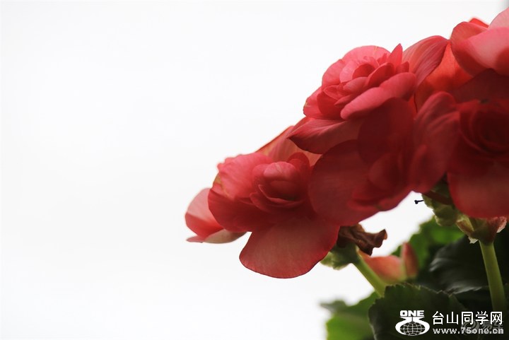 7814bd10bd614f3ca92f171bcdb36e21_720_0_max_JPG.jpg