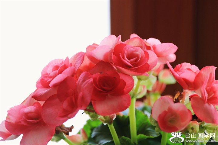 aff699a4609546d6bd66651e9d266a2b_720_0_max_JPG.jpg