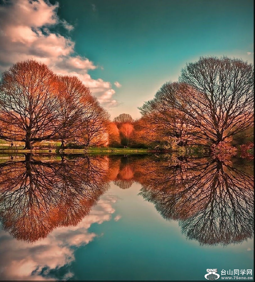 0 (25).jpg