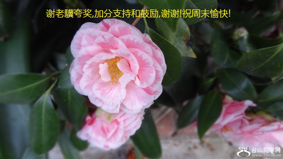 лK佱,ӷֺ֧͹,лл!ףĩ!.jpg