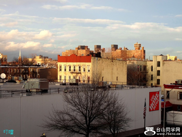 DSC01391a_1.jpg