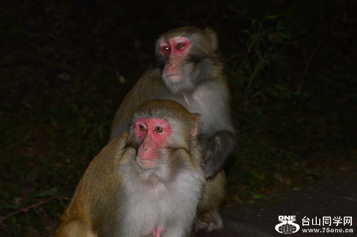 DSC_1156.JPG