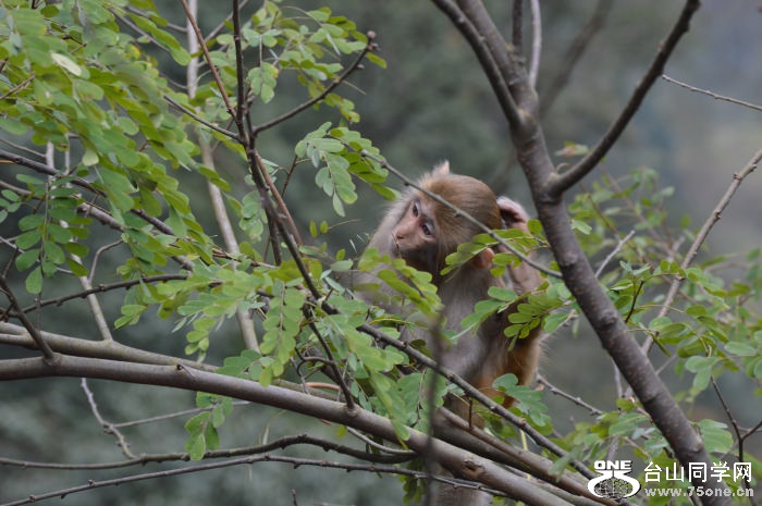 DSC_0482.jpg