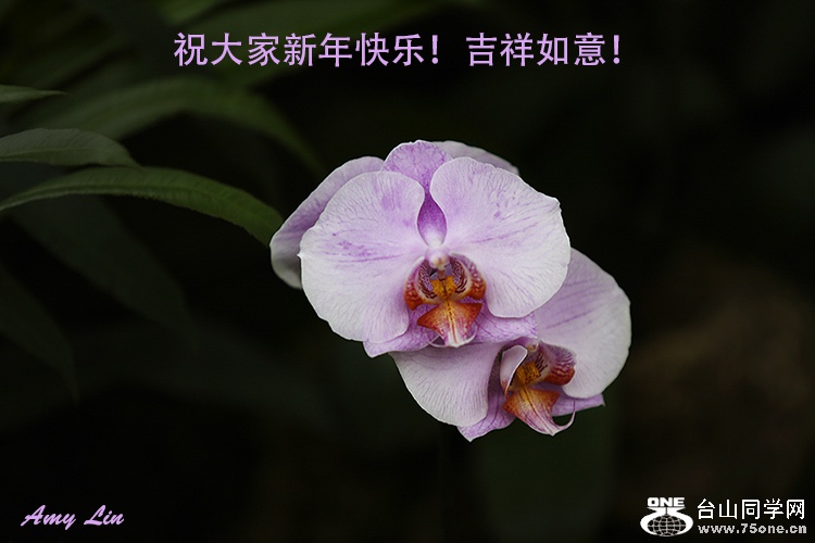 IY7A8363-2-2-2016.jpg