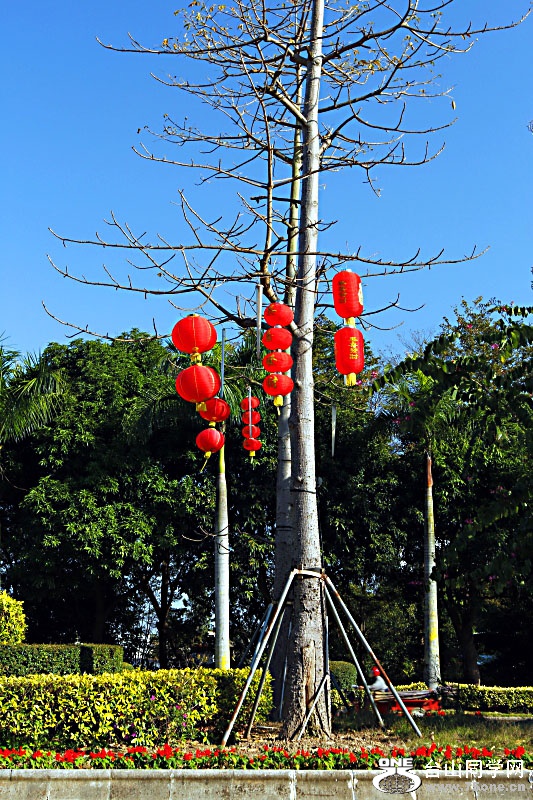 DPP_201.2.50064.JPG