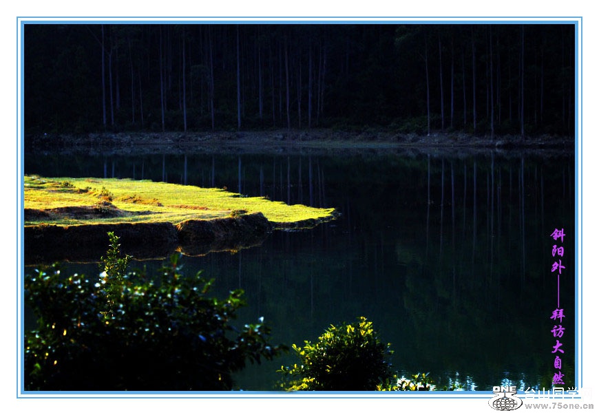 DPP_201.2.50486_.jpg