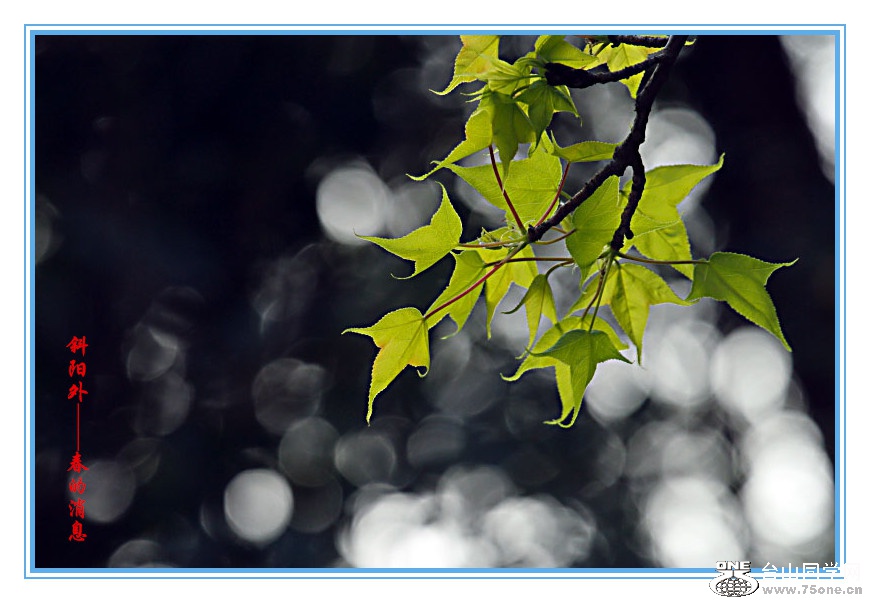 DPP_201.2.50584_.jpg