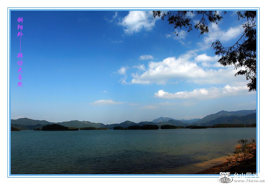 DPP_201.2.50251_.jpg