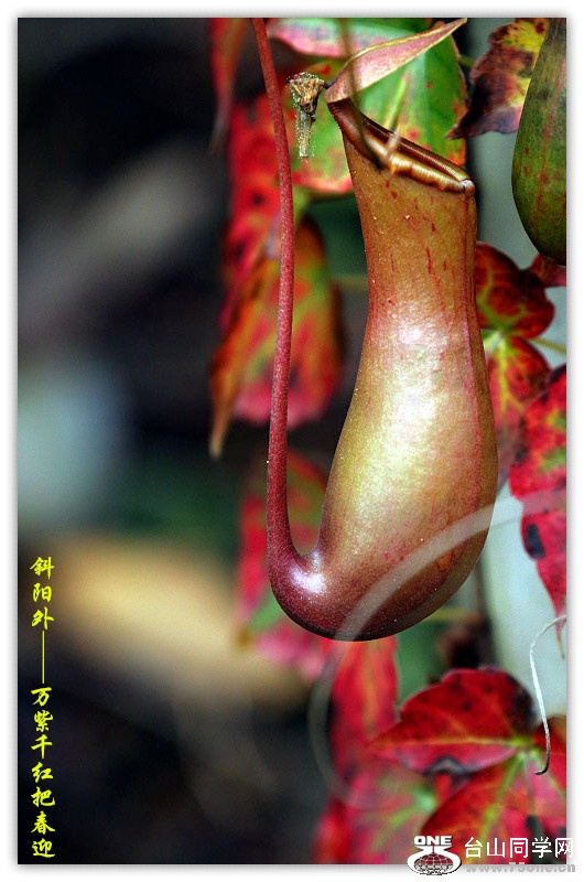 DPP_201.1.250121_.jpg