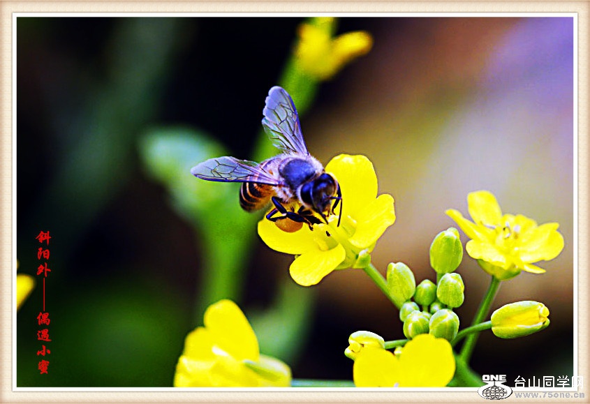 227_32486_2921fd82d33f15e.jpg
