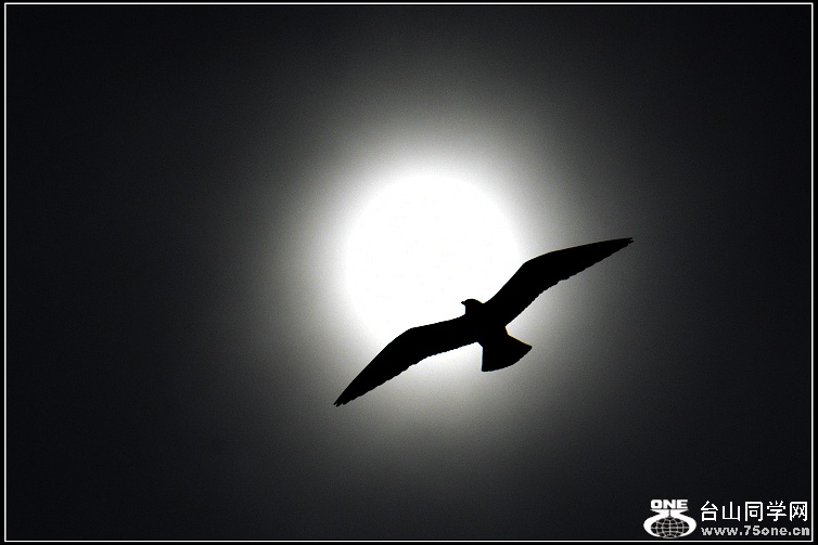 DSC_4897.jpg