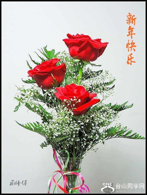 DSCN5048.jpg