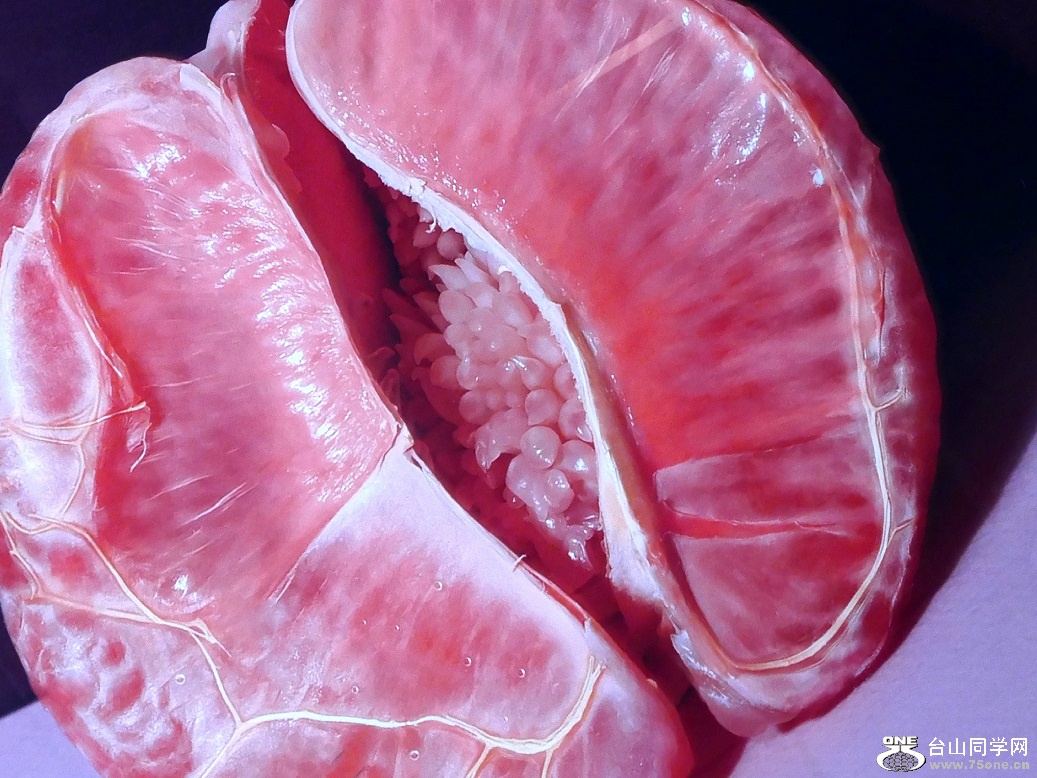 l2610209_conew2.jpg