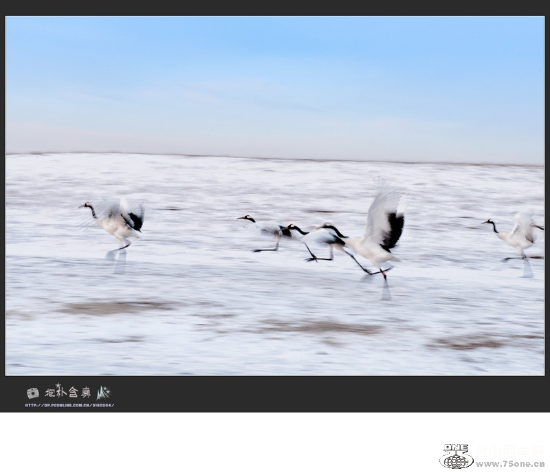 DSC_6477s.jpg
