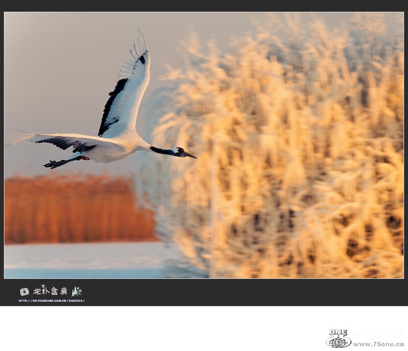 DSC_5386s.jpg