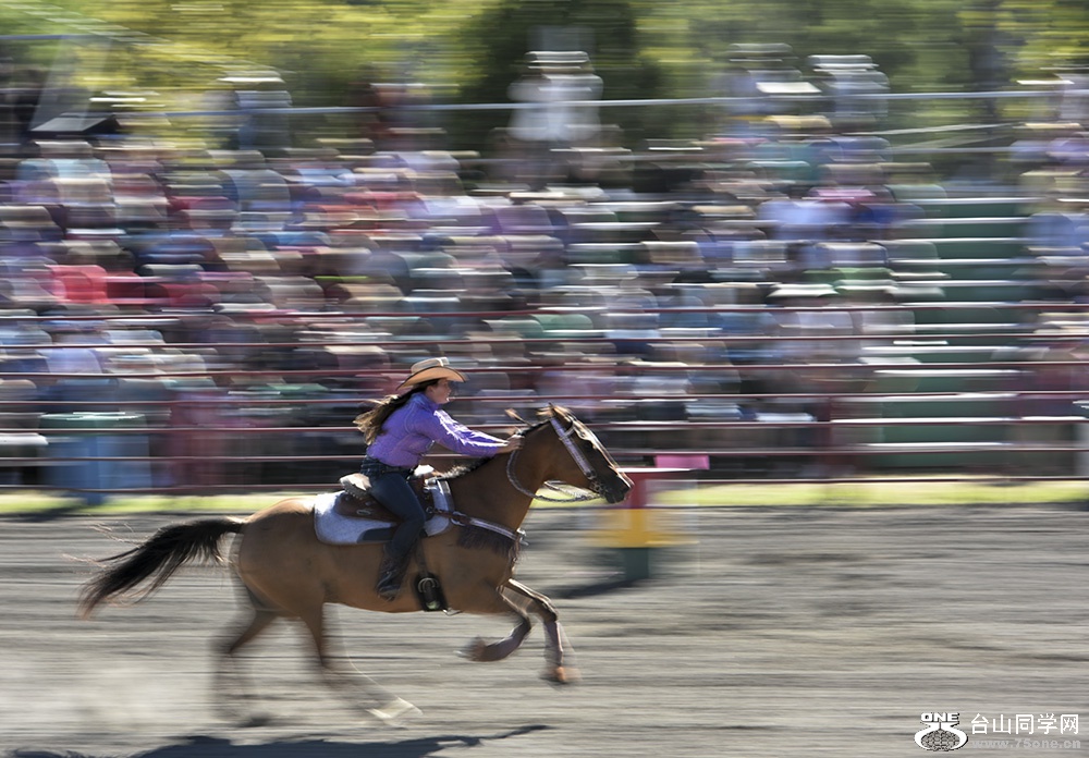 DSC_427511.jpg