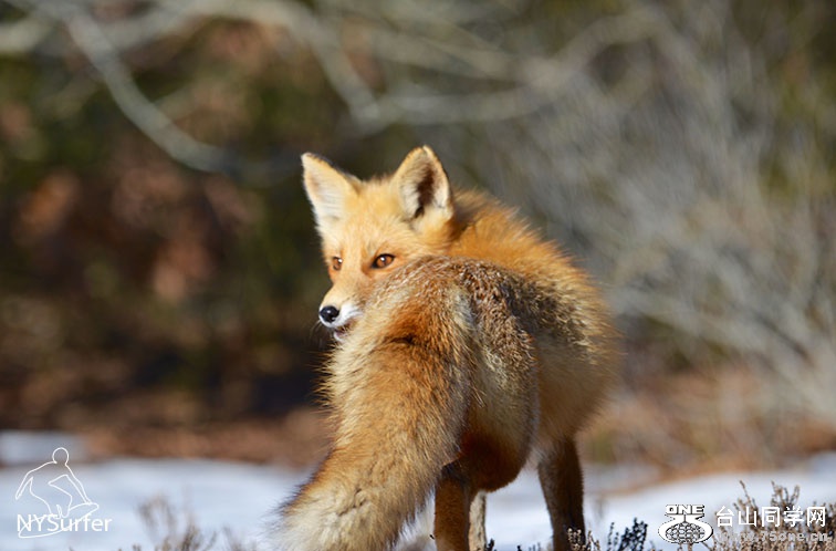 DSC_01359.jpg