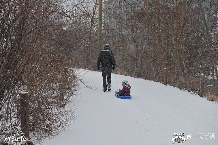 DSC_31019.jpg