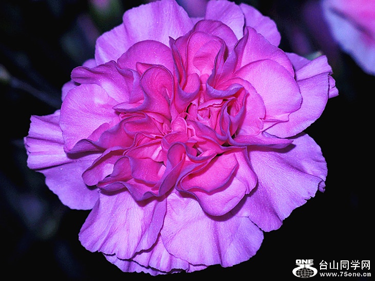 DSCN6796_.jpg