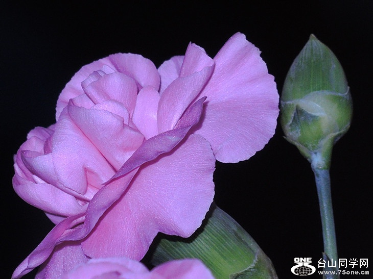 DSCN6773_.jpg