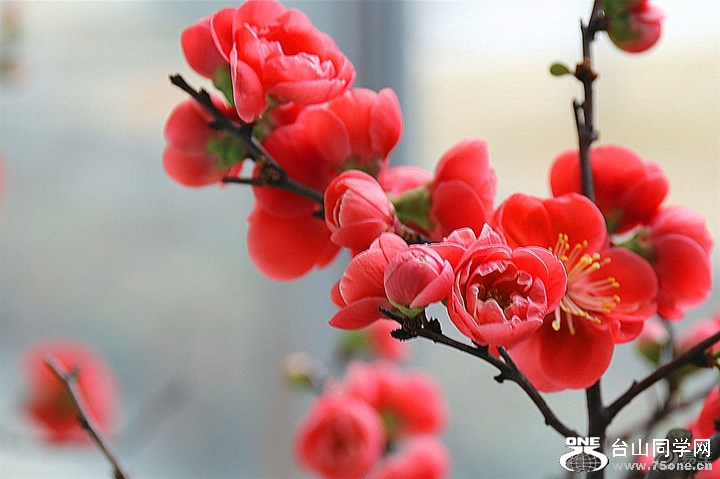 9ea90be65d534c8d88f3fdf4fd37095e_720_0_max_jpg.jpg