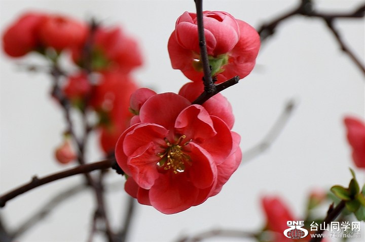 5a5d205521f34ad4ab3b627168f715cc_720_0_max_jpg.jpg