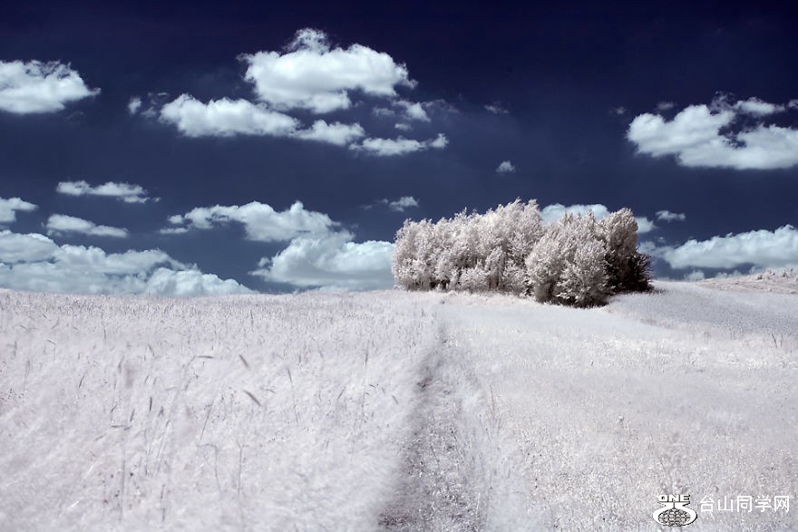 BG0M02174R7P0016.jpg