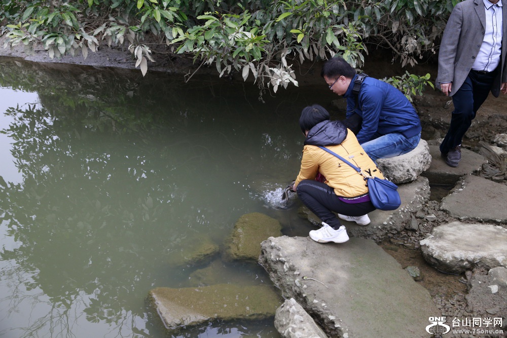 _MG_2484.JPG