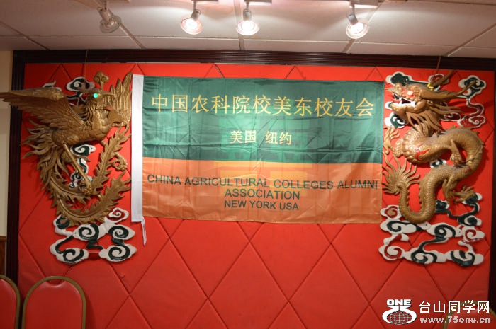 DSC_1037.jpg