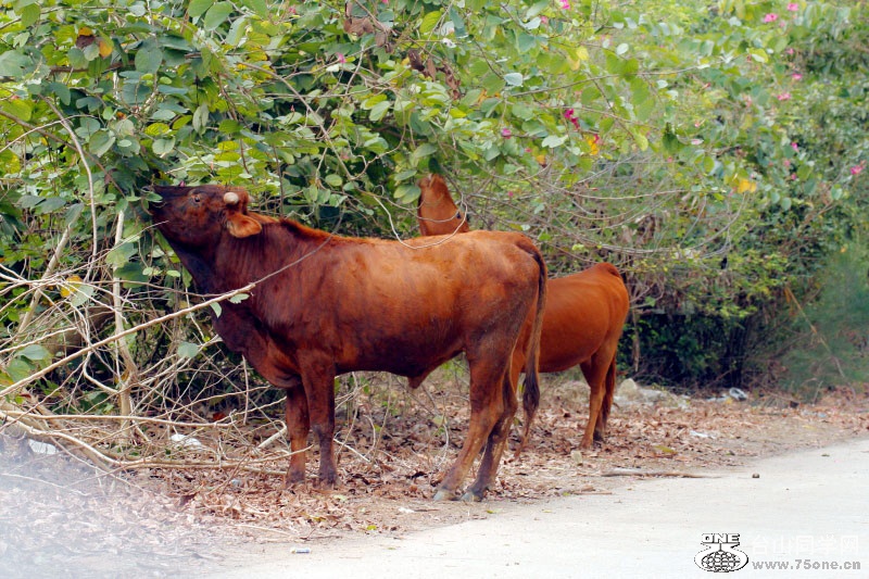 DPP_201.3.8-30291_.jpg