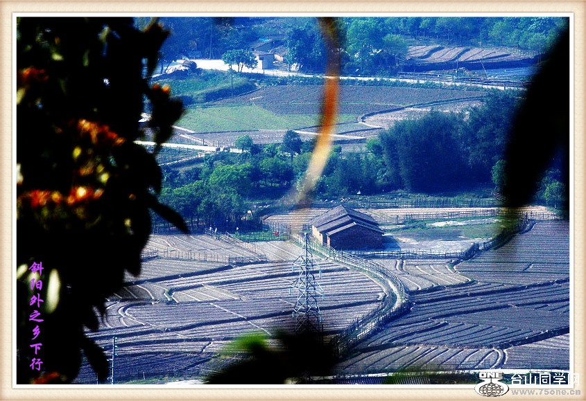 DPP_201.3.8-120027_.jpg