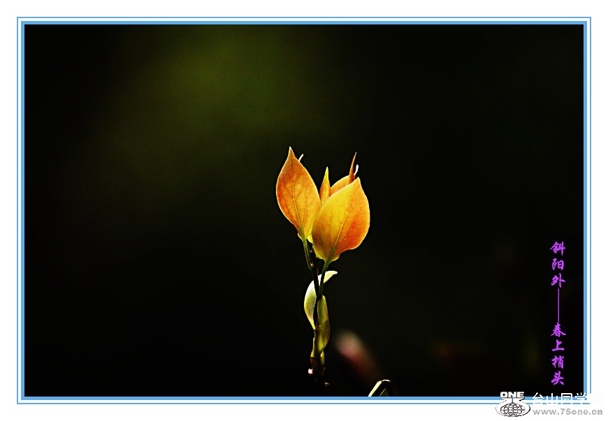 DPP_201.2.140313_.jpg