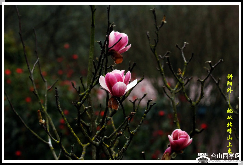 DPP_201.2.140464_.jpg