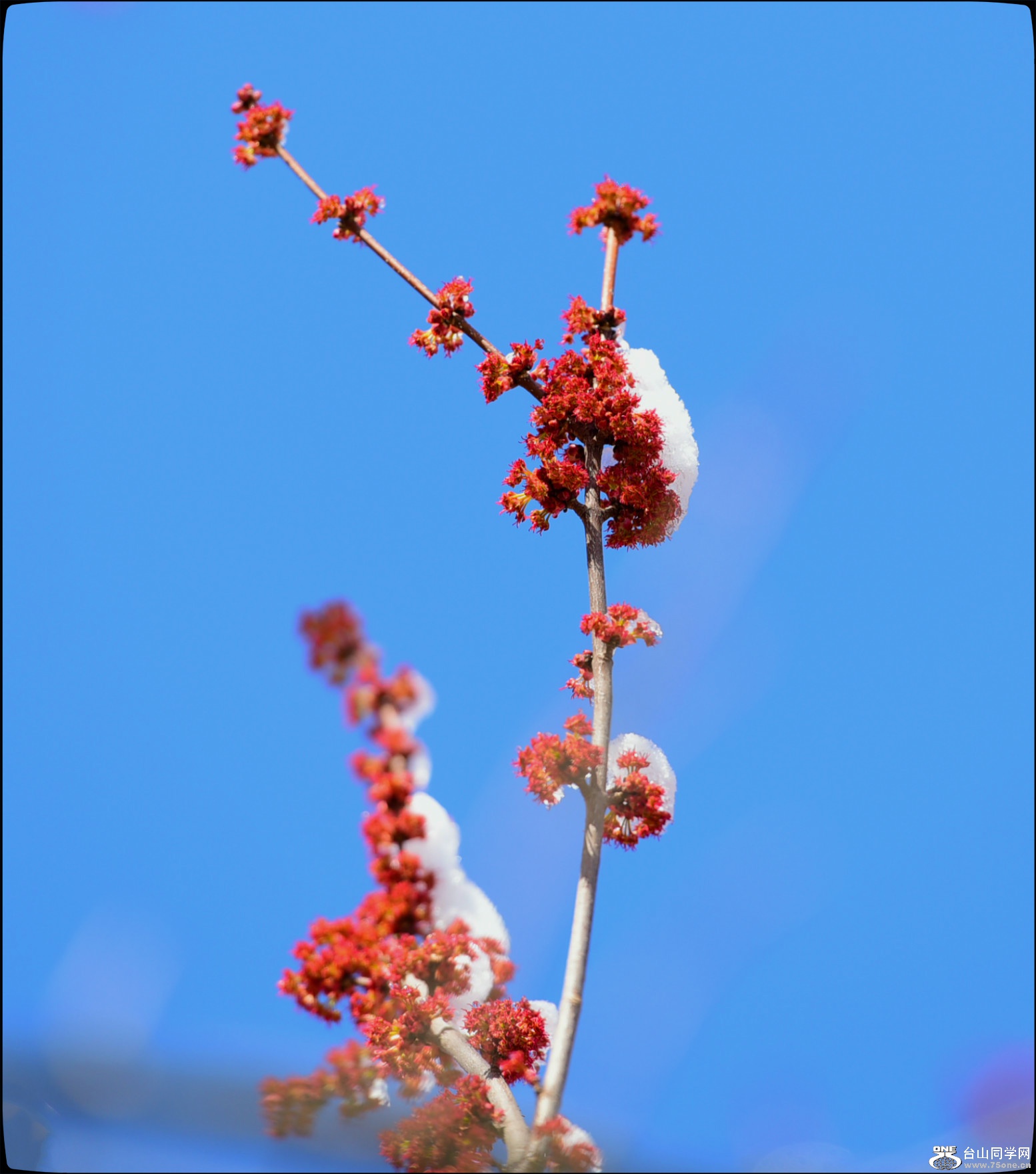 DSC_5504.JPG