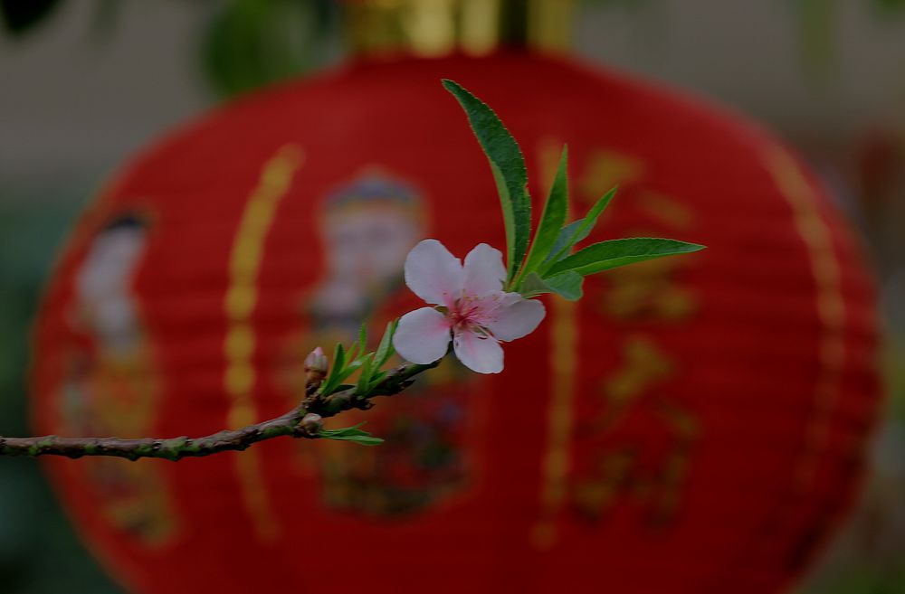 IMG_8183__.jpg