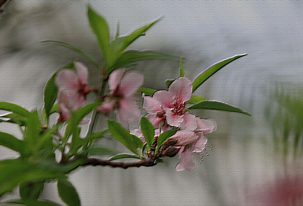 IMG_8156__.jpg