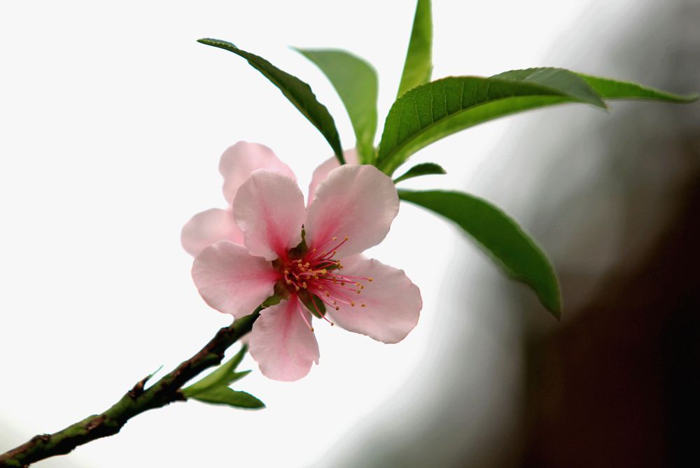 IMG_8106__.jpg
