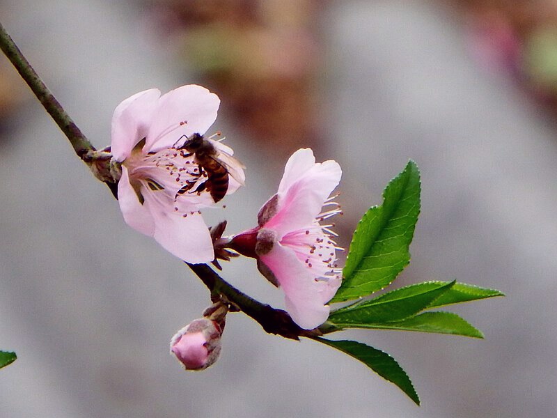 DSCF1573.jpg