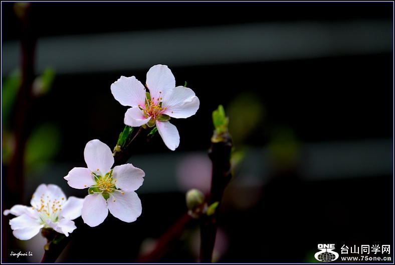 DSC_4713_.jpg
