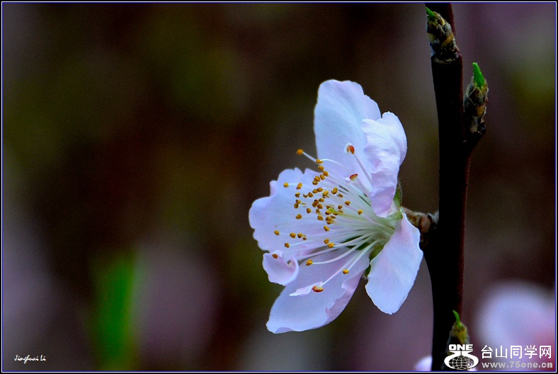 DSC_6311_.jpg