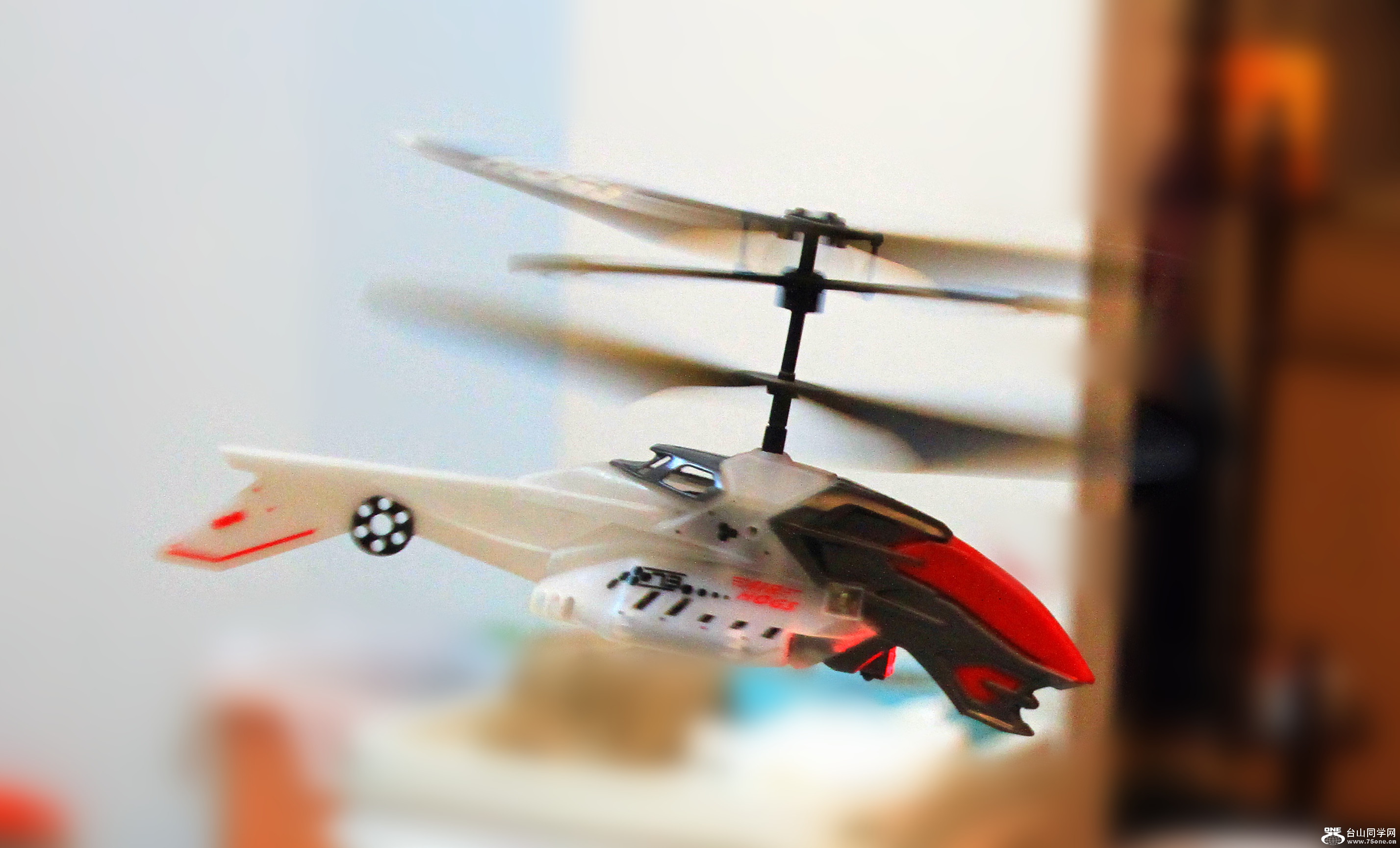 IMGL1601_.jpg