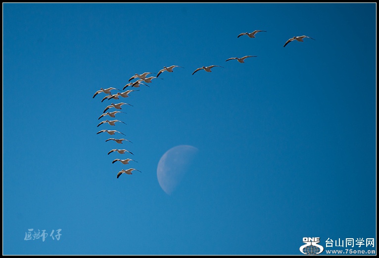 DSC_5970.jpg