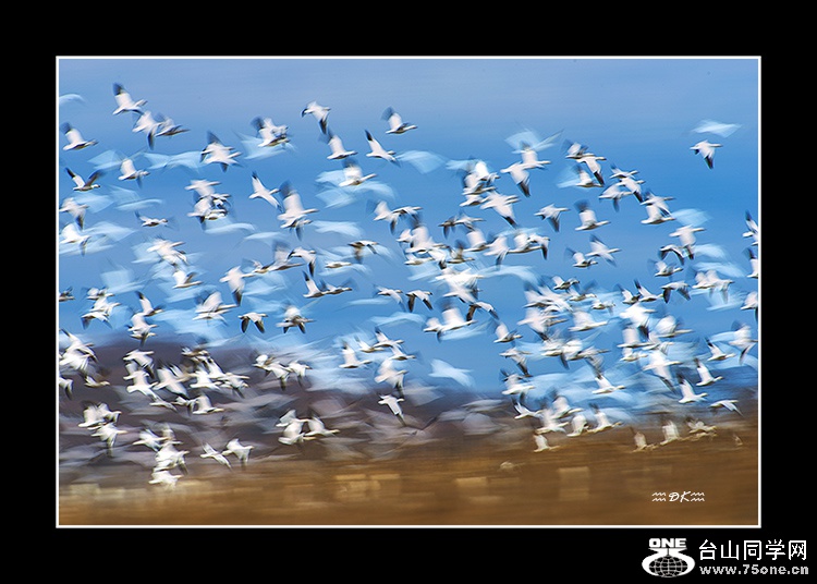 DSC_8312C.jpg