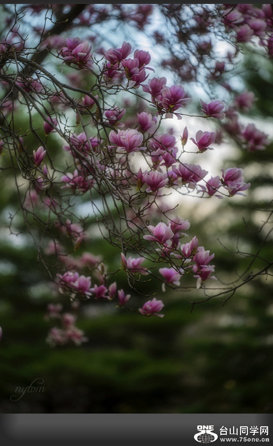 DSC_5719_.jpg