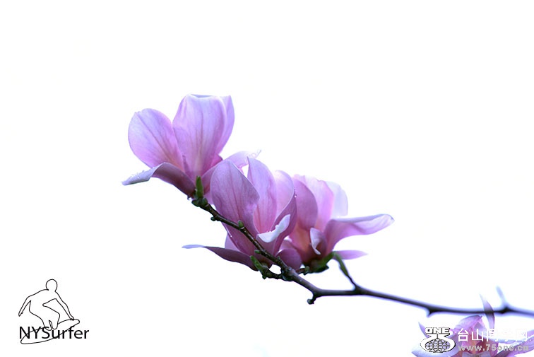 DSC_91844.jpg
