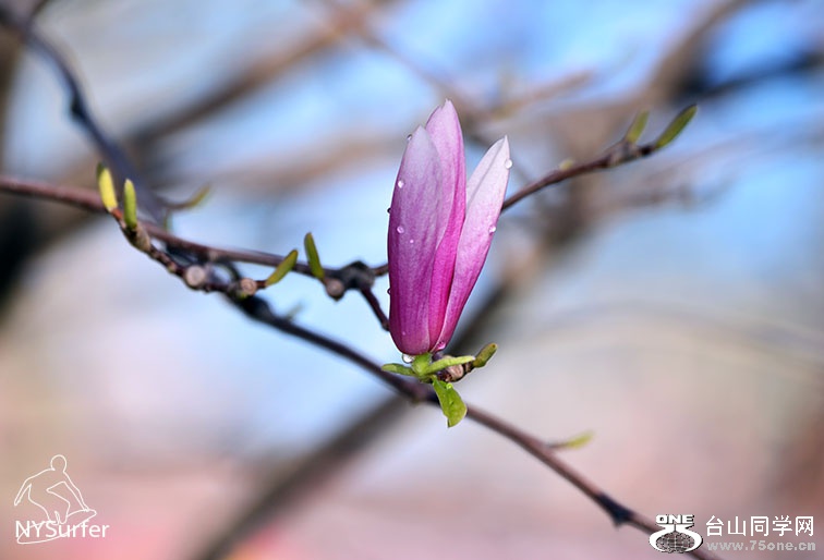 DSC_01259.jpg
