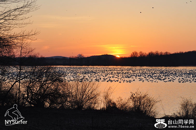 DSC_01011.jpg